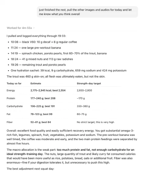 A daily nutrition critique based on meal photos and notes.
